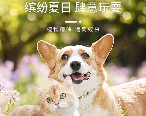 狗脖子发红了该用什么药治疗？（狗脖子发红原因、治疗方法和注意事项详解）(图2)