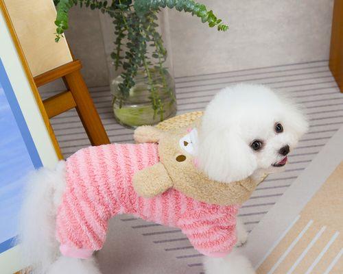 以狗看人（解读狗狗眼中的衣着语言，衣服色彩的重要性） - 新生家伴