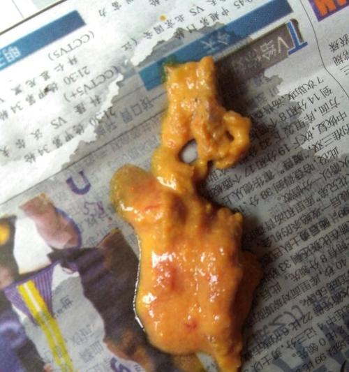 选择合适狗粮，让狗狗的便便清香无比（降低狗狗排泄物的臭味，提升室内空气质量）(图2)