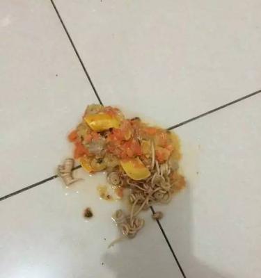 如何缓解狗狗反胃干呕？（以饮食调理和草药治疗为主要方法）(图2)