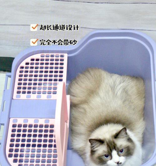 选择适合纸砂的猫砂盆，让猫咪的生活更舒适（探索纸砂猫砂盆的特点和如何为猫咪选择最佳选项）(图2)