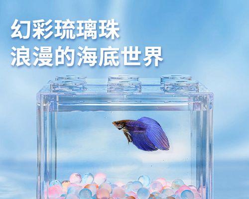 如何选择适合的斗鱼底砂类型？（为你解析不同类型底砂的优劣势） - 新生家伴