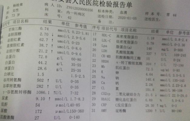 狗狗淀粉酶高的饮食选择（让你的爱犬吃得健康又营养，）(图2)