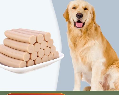 如何科学合理地给2个月金毛犬安排饮食？（金毛犬2个月时的饮食要点和注意事项） - 新生家伴