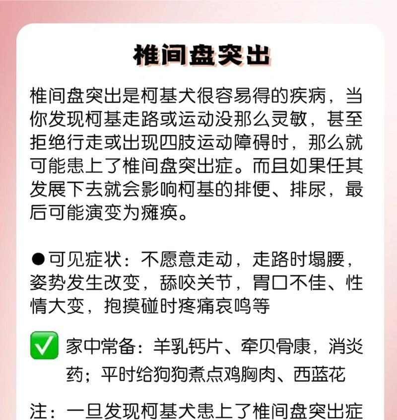 柯基毛为什么会变黄？（探究柯基毛变黄的原因及预防方法）(图3)