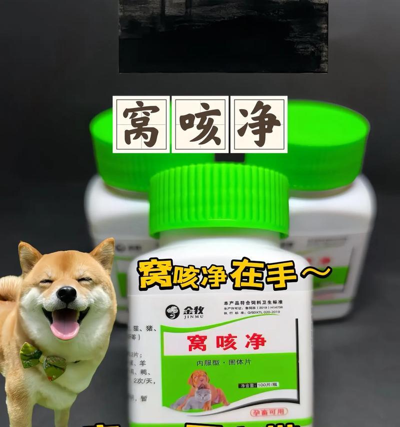 小狗狗为什么会干呕？（了解干呕原因，关爱你的小狗狗健康）(图2)