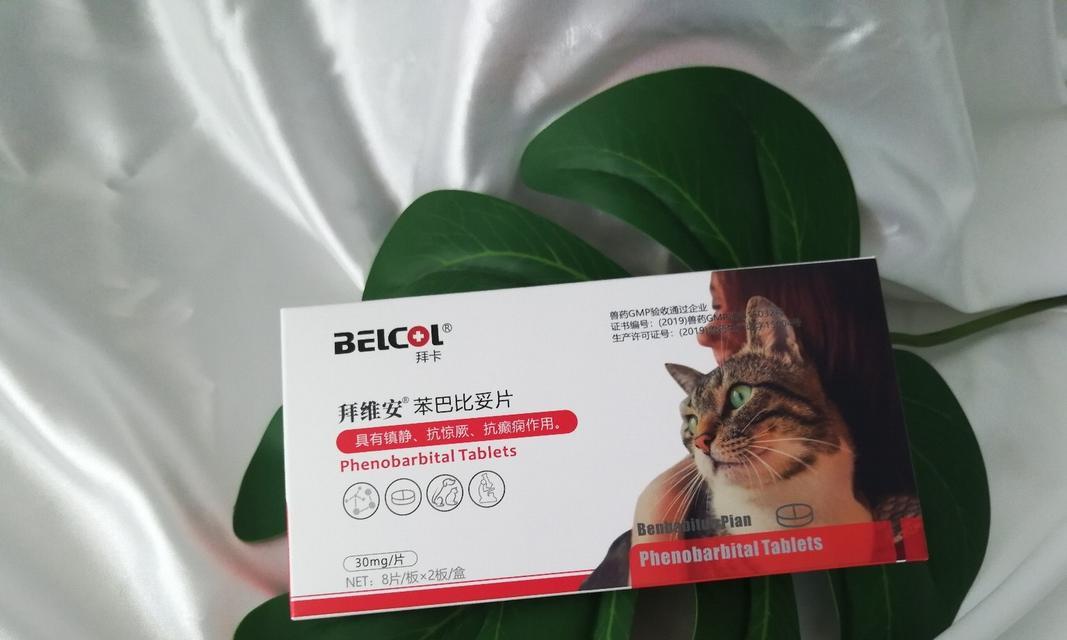 缓解猫嗓子不适的有效药物（舒缓猫嗓子不适的药物及使用方法） - 新生家伴