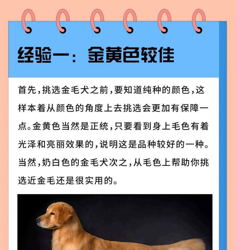 大金毛（探索大金毛家族的独特之处） - 新生家伴