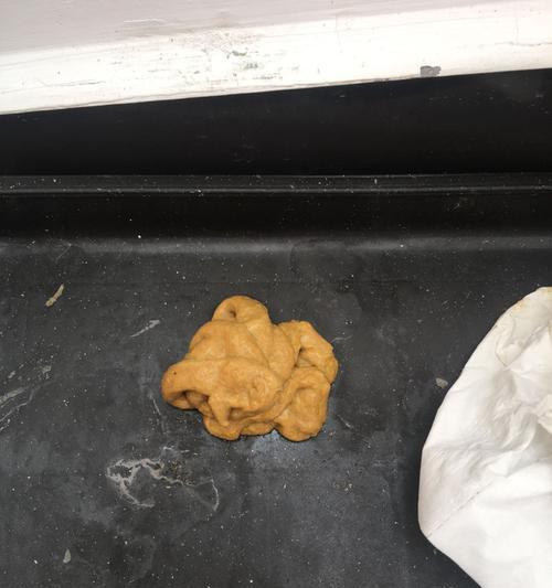 选择合适狗粮，让狗狗的便便清香无比（降低狗狗排泄物的臭味，提升室内空气质量）(图1)