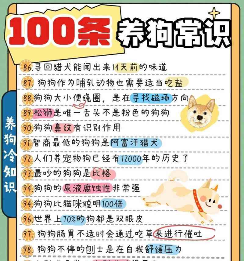 幼犬迎接新家的注意事项（如何让幼犬顺利适应新环境）(图1)