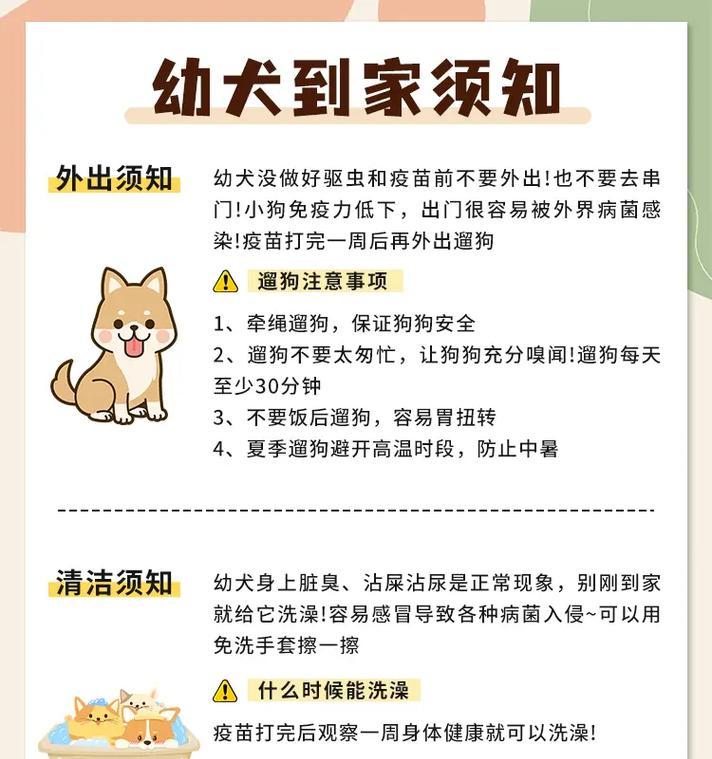 幼犬迎接新家的注意事项（如何让幼犬顺利适应新环境）(图2)