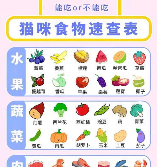 猫怀孕期间需要食用什么食物？（为了健康育