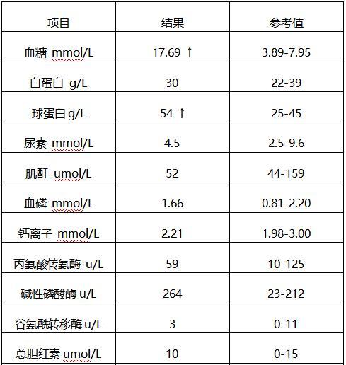狗狗淀粉酶高的饮食选择（让你的爱犬吃得健康又营养，） - 新生家伴