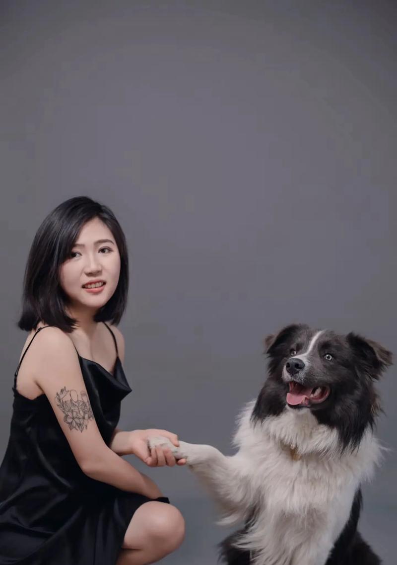 边牧蓝白之美（边牧蓝白的优秀血统与多样配对方式）(图3)