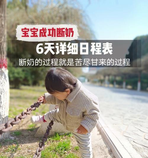 八哥犬的断奶时间及注意事项（了解八哥犬断奶时间，让宝宝更健康）(图2)