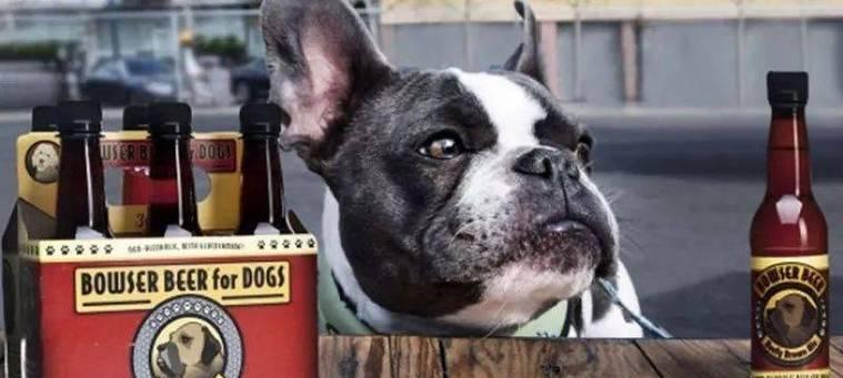 狗喝醉酒的后果(探究狗喝多了酒的危害与预防)(图3) 狗喝醉酒的后果(探究狗喝多了酒的危害与预防)(图3)