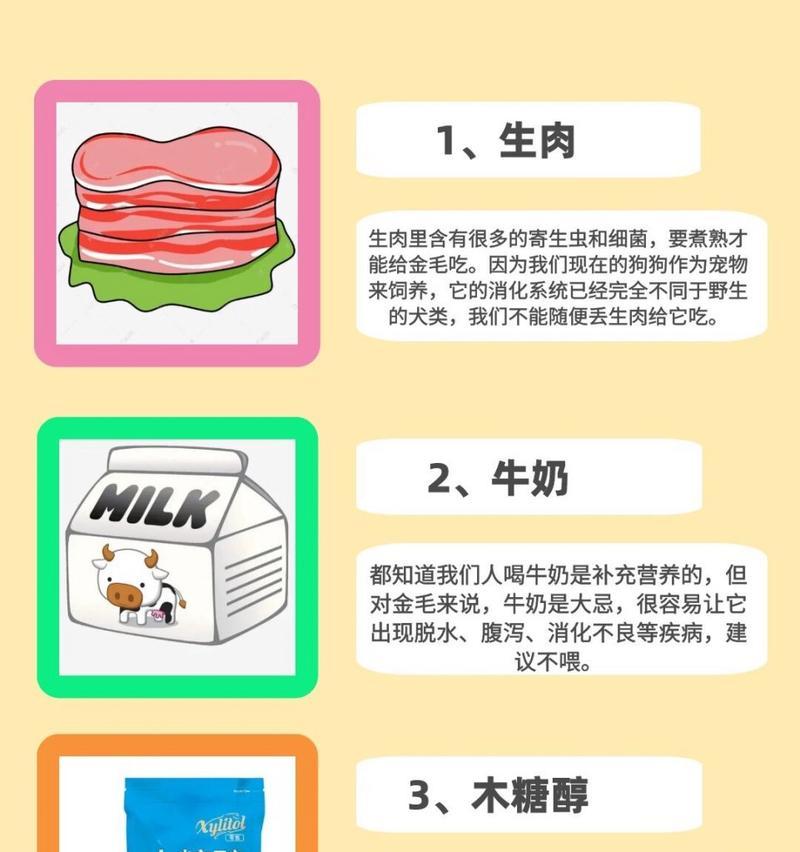 如何为你的金毛成犬提供最好的饮食？（全面了解金毛成犬的饮食需 - 新生家伴