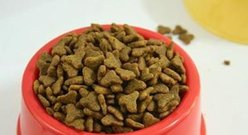 如何为你的金毛成犬提供最好的饮食?(全面了解金毛成犬的饮食需求,让你的宠物更健康快乐)(图2) 如何为你的金毛成犬提供最好的饮食?(全面了解金毛成犬的饮食需求,让你的宠物更健康快乐)(图2)
