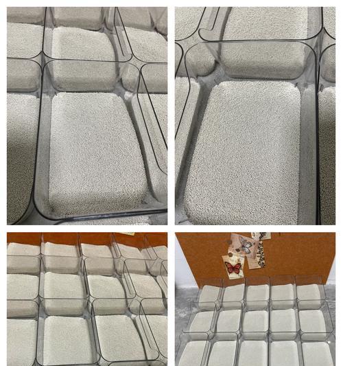 仓鼠浴沙的清新香气（让你的仓鼠拥有宜人的沐浴体验）(图2)