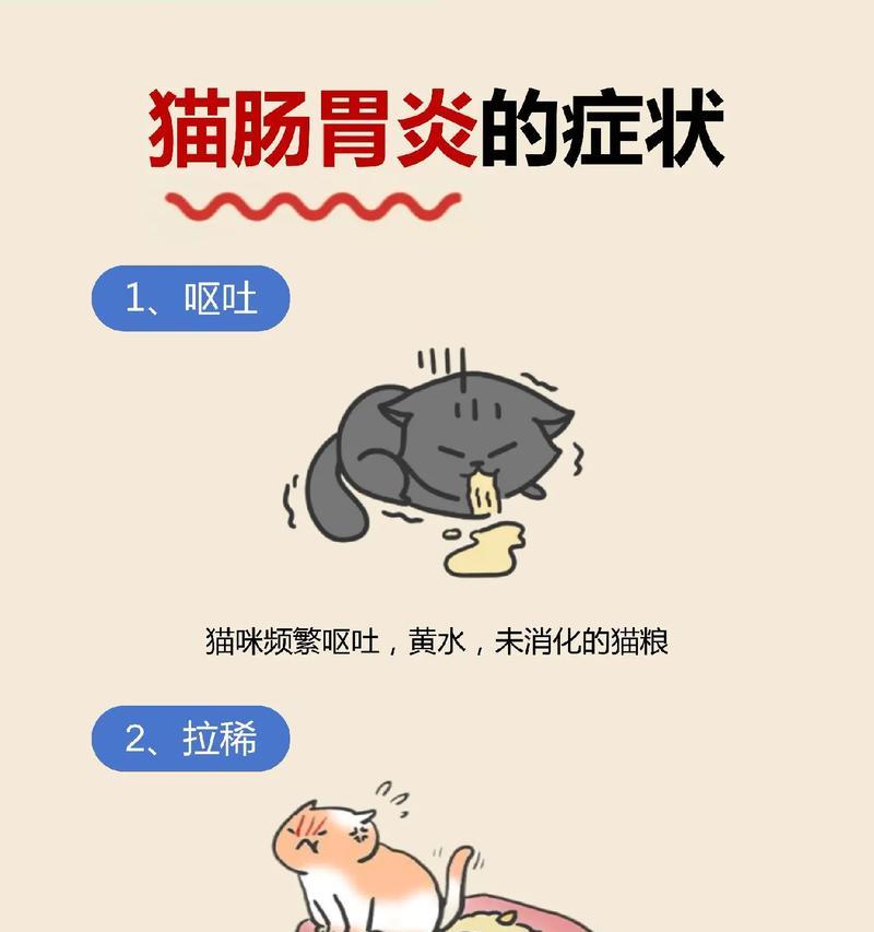 猫为什么经常呕吐？（探究猫呕吐的原因及应对方法）(图3)