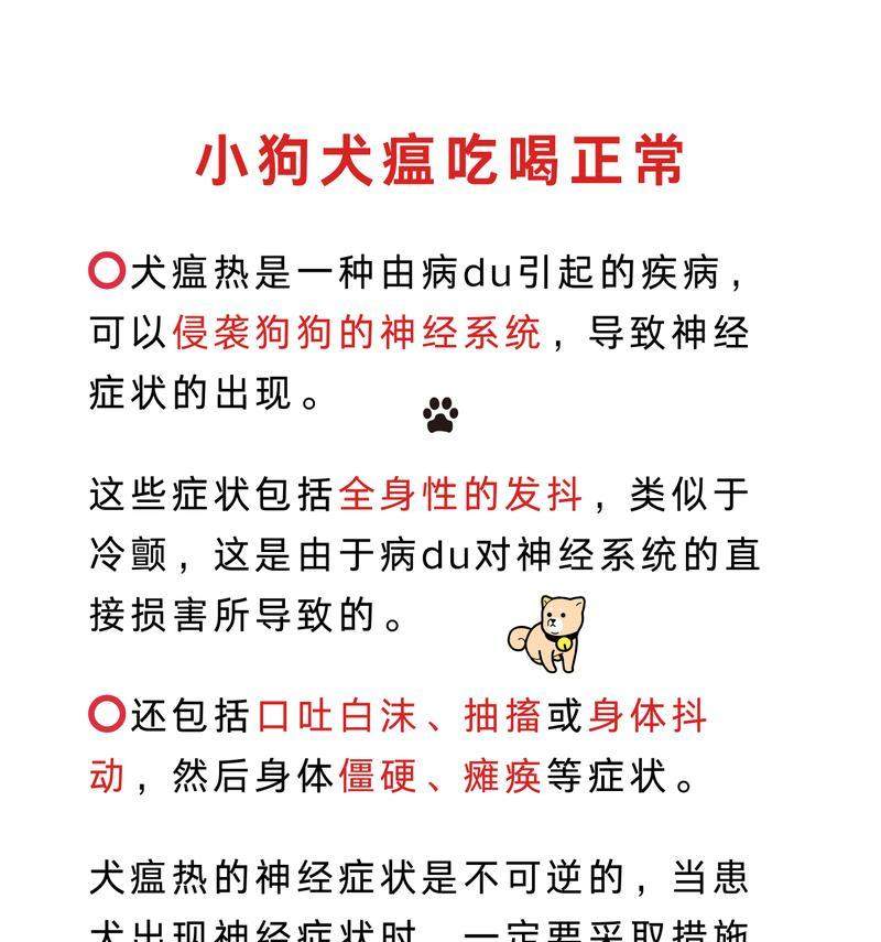 详解犬瘟的症状及预防方法（了解犬瘟的临床表现和保护你的爱犬健康）(图3)