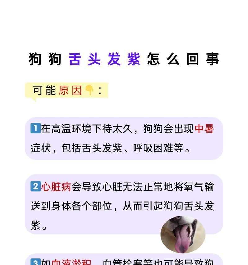 为什么狗会伸出舌头？（揭秘狗的舌头行为，探究其原因和意义）(图3)