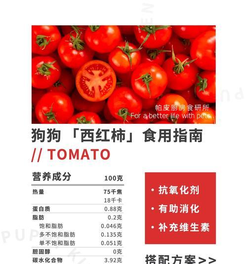 小狗受伤了，该吃什么药？（保护小狗健康的