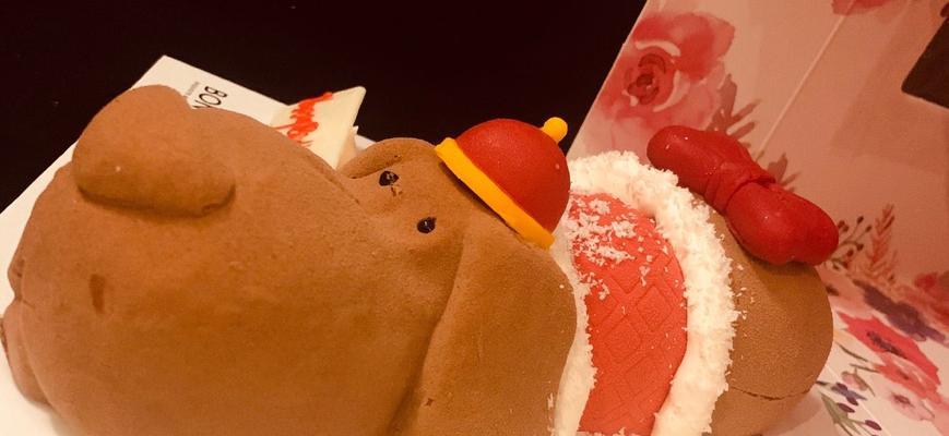 大狗生完怎么处理？（让大狗恢复健康的关键饮食及方法）(图3)