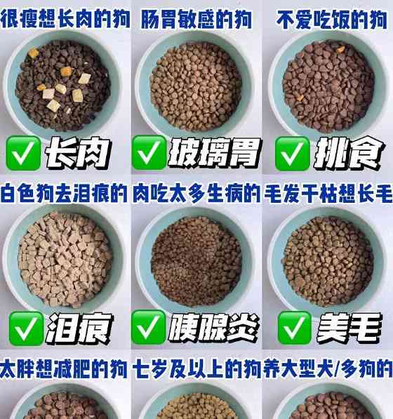 狗粮对狗狗体重的影响（营养均衡的狗粮与狗狗健康体重的关系） - 新生家伴