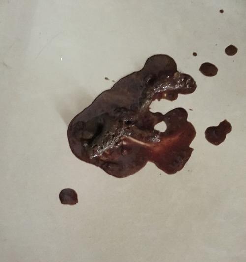 狗狗吐血的原因及应对措施(了解狗狗吐血的常见原因,保护你的宠物健康)(图2) 狗狗吐血的原因及应对措施(了解狗狗吐血的常见原因,保护你的宠物健康)(图2)