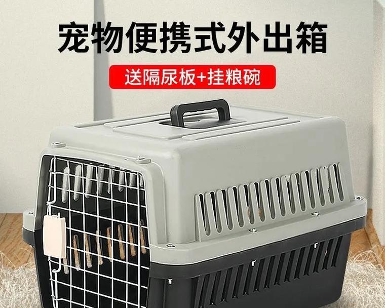 老血狗的含义解析(探寻老血狗的意义及背后的文化内涵)(图2) 老血狗的含义解析(探寻老血狗的意义及背后的文化内涵)(图2)