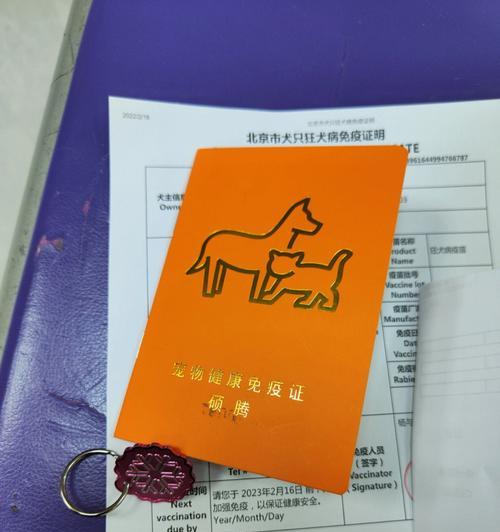 狗抗体检测(了解狗抗体检测的重要性及其应用领域)(图1) 狗抗体检测(了解狗抗体检测的重要性及其应用领域)(图1)