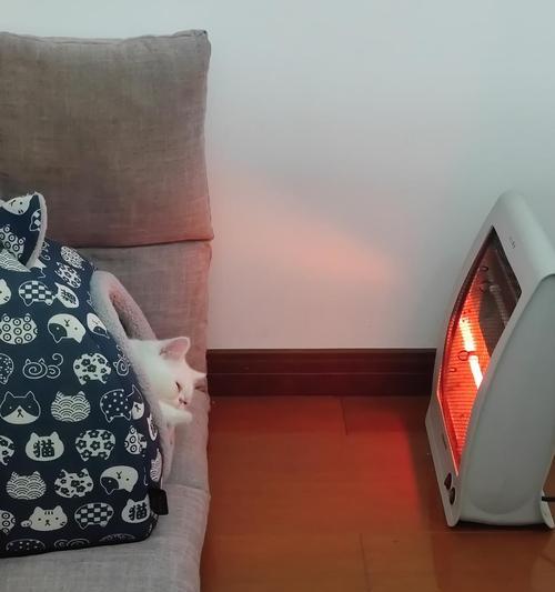 为什么泰迪会打哆嗦？（探索泰迪打哆嗦的原因及解决方法）(图1)