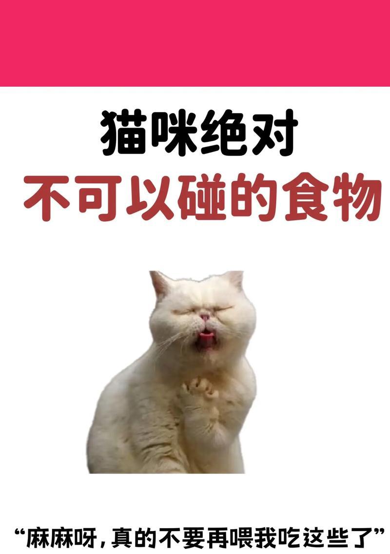 猫咪怀孕期间的饮食需知（哪些食物适合猫咪怀孕期间食用？）(图1)