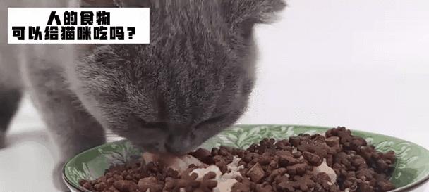 猫咪美味佳肴——自制食物让爱猫更健康（用心为爱猫亲自下厨，让它享受滋味人生）(图2)