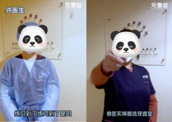 1月19日【杭州】(第122期)丨外科手术(中阶)实战班，2人/组提供一猫一狗，实操超多！(图2)