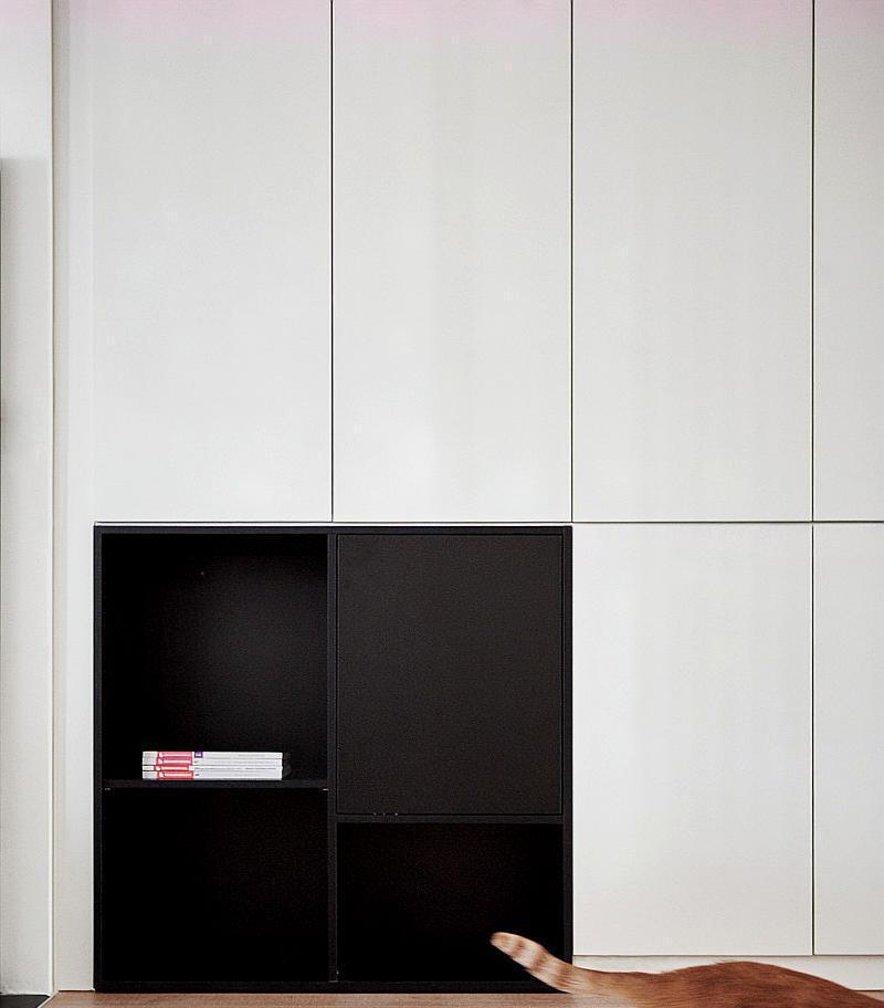 养狗新手必备家具选购指南(为你的爱犬打造舒适的家居环境,提供)(图3) 养狗新手必备家具选购指南(为你的爱犬打造舒适的家居环境,提供)(图3)