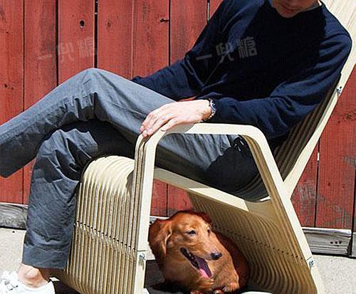 养狗新手必备家具选购指南(为你的爱犬打造舒适的家居环境,提供)(图2) 养狗新手必备家具选购指南(为你的爱犬打造舒适的家居环境,提供)(图2)