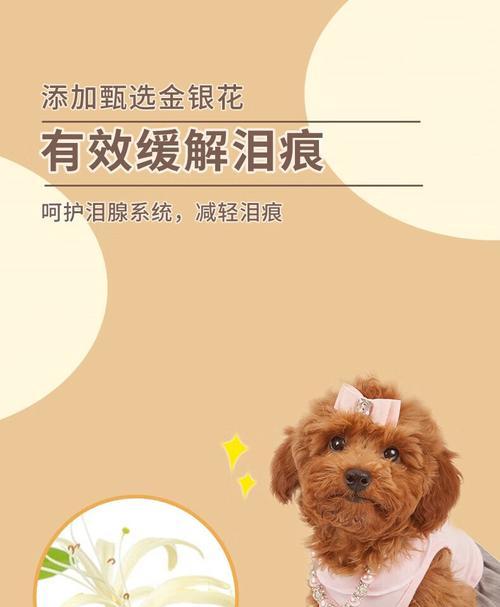 白毛狗宝宝的饮食需求（无泪腺问题的解决方案）(图3)