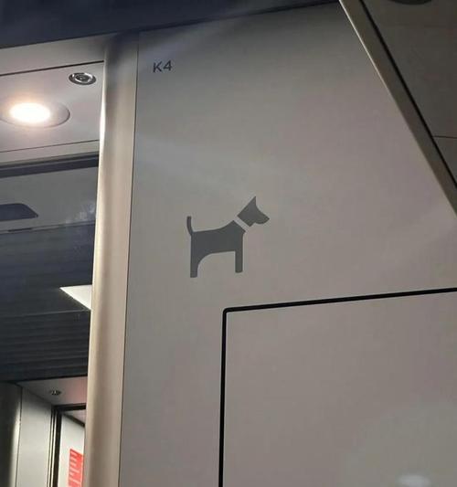 如何带狗狗乘坐火车(火车旅行必备指南,让您的狗狗安心快乐出行)(图2) 如何带狗狗乘坐火车(火车旅行必备指南,让您的狗狗安心快乐出行)(图2)