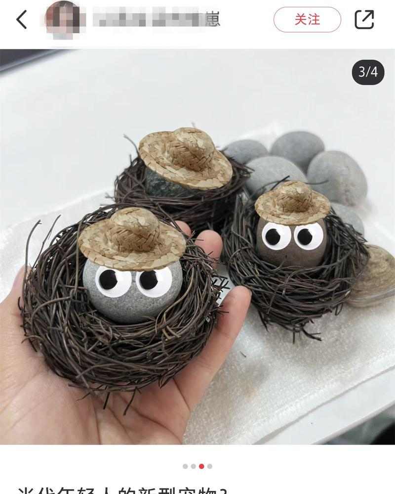 选择以喜欢宠物为主题的工作机会（发展激情并与动物共享的梦想）(图3)