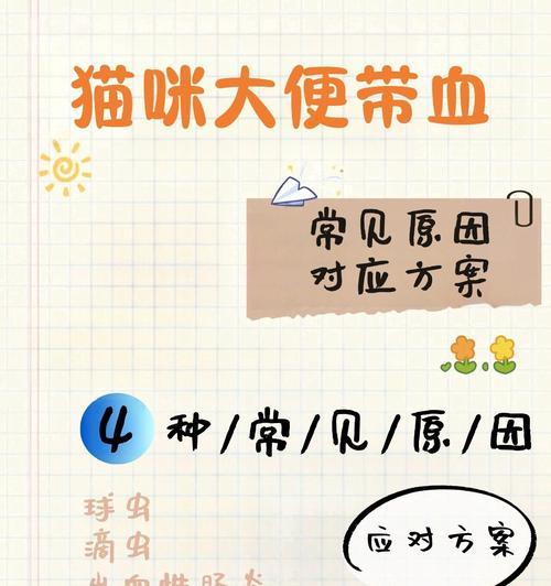 猫的粪便稀的原因解析（揭秘导致猫粪便稀的几个常见原因）(图1)