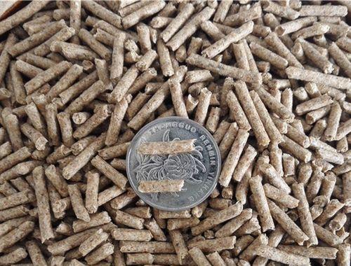 荷兰猪抽筋（了解荷兰猪抽筋的症状，预防和治疗方法） - 新生家伴