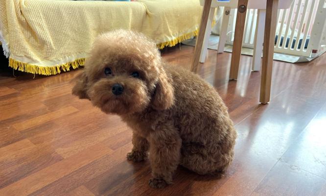 以太迪——探索25体的奥秘（揭秘25体身