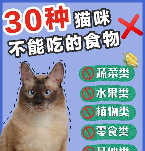 猫咪的饮食禁忌及安全食物指南（了解猫咪的