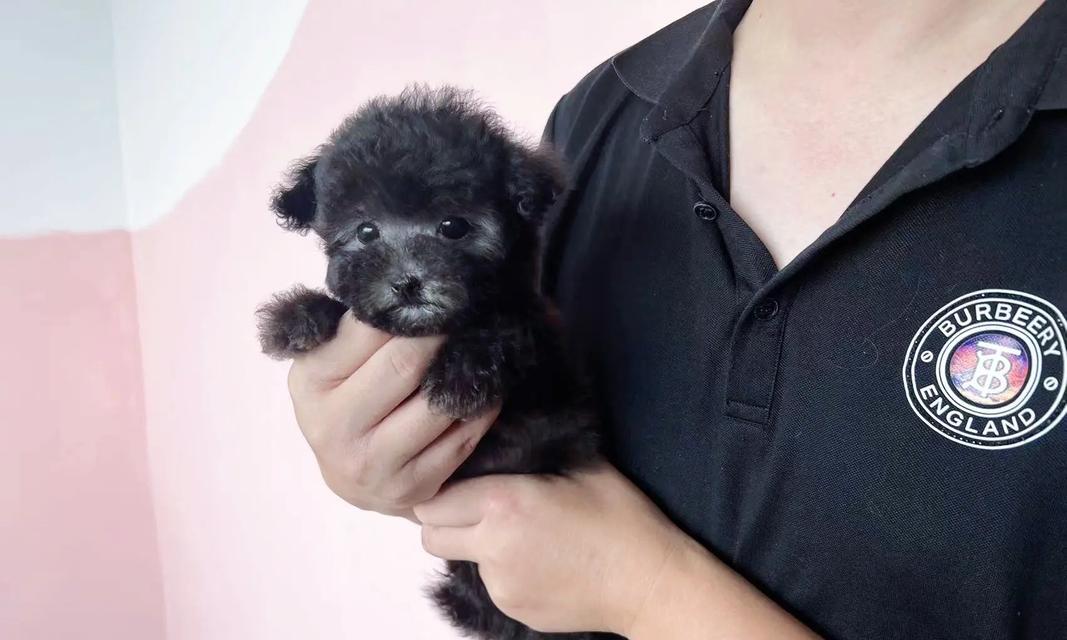 以太迪——探索25体的奥秘（揭秘25体身高之谜，探索人类生长的奇迹）(图2)