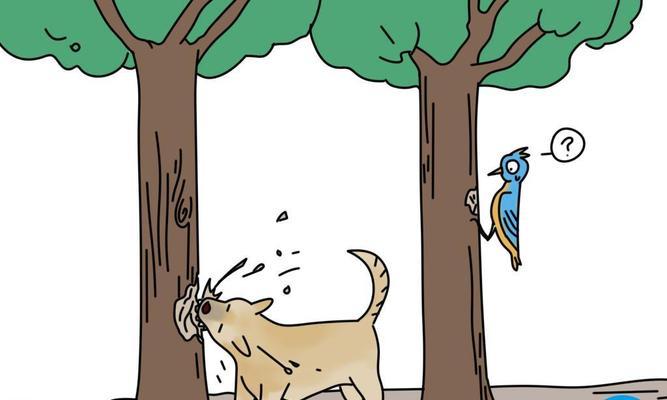 狗狗为什么爱咬自己?(解析狗狗咬自己的行为原因及应对方法)(图3) 狗狗为什么爱咬自己?(解析狗狗咬自己的行为原因及应对方法)(图3)