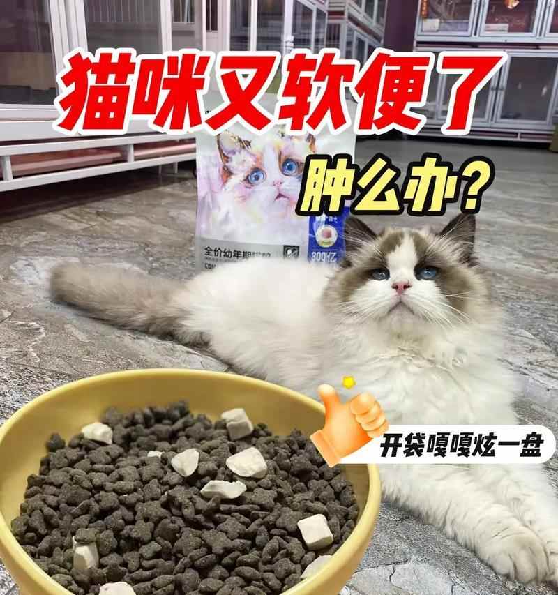 猫咪软便吃什么药？（解决猫咪软便问题的有效药物及注意事项）(图2)