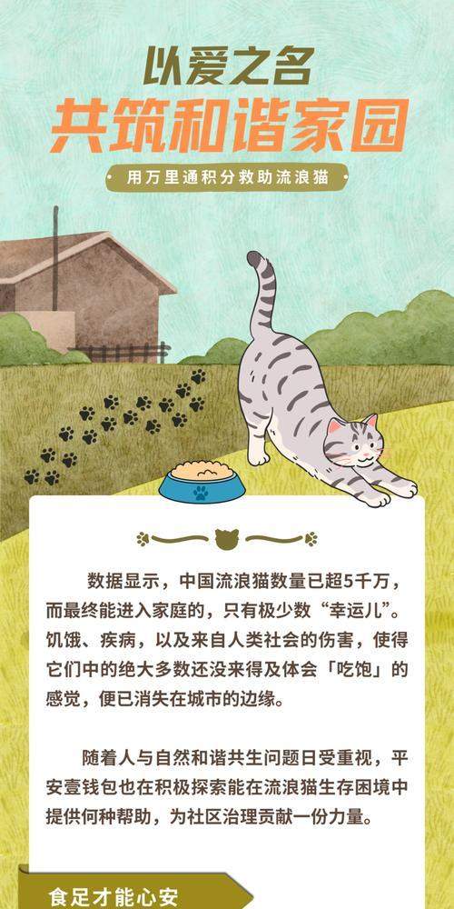猫咪的饮食时间安排及喂养建议（了解猫咪的饮食需求，合理安排喂养时间）(图1)