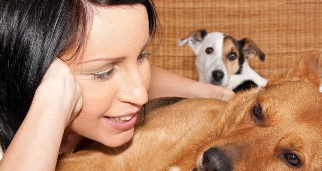 狗狗生的全是男宝宝——遗传学还是巧合?(探究为什么有些狗狗只生男宝宝及其可能原因)(图3) 狗狗生的全是男宝宝——遗传学还是巧合?(探究为什么有些狗狗只生男宝宝及其可能原因)(图3)